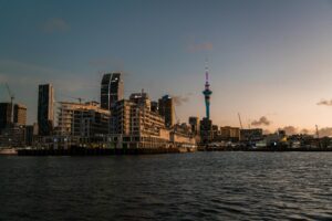 Where the New Zealand bedding market actually is, October 2025
