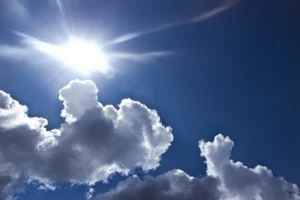 Weathering the Storm: Dreamland Stays Dry Amid Record Rainfall in New Zealand