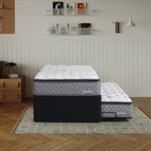Chelsea Trundler Bed