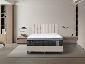 Pegasus Plush Mattress